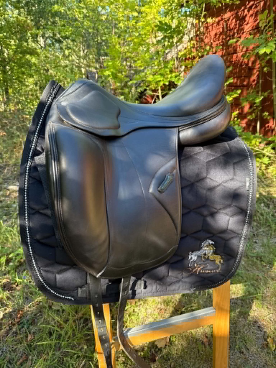 Amerigo Pasubio begagnad dressyrsadel