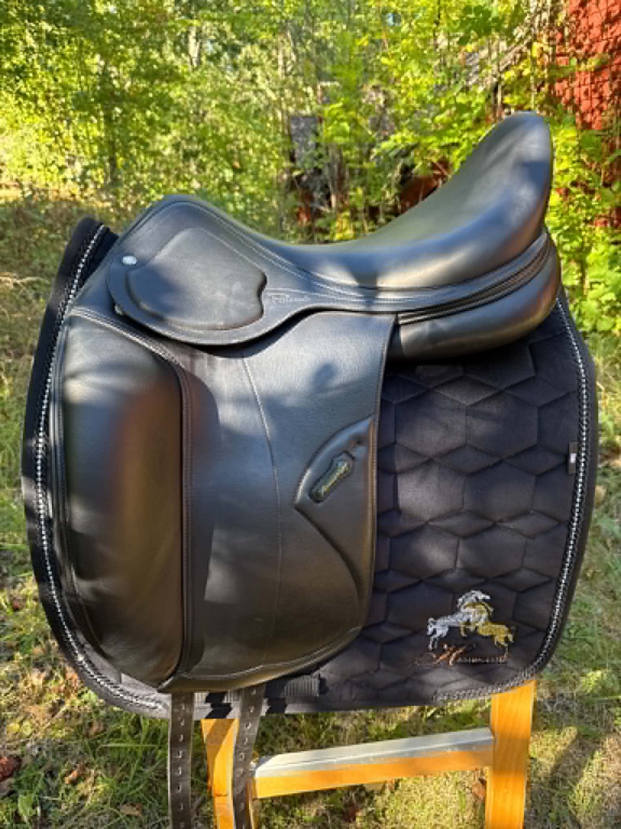 Amerigo Pasubio begagnad dressyrsadel