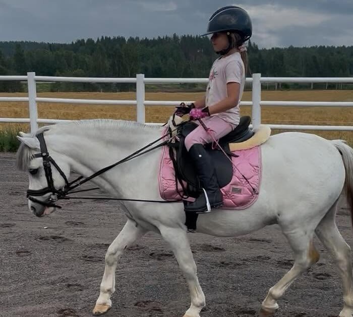 Saga rider ponnyn Galahad